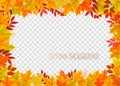 Abstract autumn frame with colorful leaves Royalty Free Stock Photo