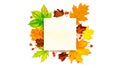 Abstract autumn. Frame made of Green, yellow dried leaves, red berry isolated on white background for greeting card Royalty Free Stock Photo