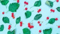 Abstract autumn. Green leafs, red fruits Rowans isolated on pastel blue background - Nature pattern. Template fall harvest