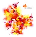 Abstract autumn leaves background