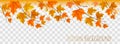 Abstract autumn panorama with colorful leaves Royalty Free Stock Photo