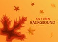 Abstract autumn paper cut template.Modern banner with 3D abstract background and paper cut shapes of leaves .Trendy layout vector Royalty Free Stock Photo