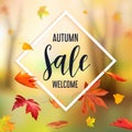 Abstract autumn Sale banner with flying leaves