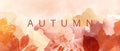 Abstract autumn watercolor art. Bright warm colors, fall leaves, trees, sky,clouds. Frame, background for text. Royalty Free Stock Photo