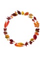 Abstract Autumn Wreath Composition with Vivid Colourful Leaves Royalty Free Stock Photo