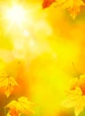 Abstract autumn yellow leaves background