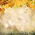 Abstract autumnal backgrounds