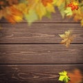Abstract autumnal backgrounds. Fall maple leaves Royalty Free Stock Photo
