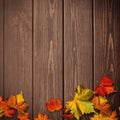 Abstract autumnal backgrounds. Fall maple leaves