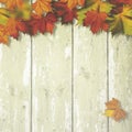 Abstract autumnal backgrounds