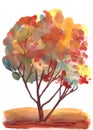 Abstract autumnal orange yellow green tree, watercolor drawing on a white background