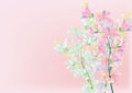 Abstract Azalea flowers on white background for background