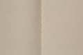 backdrop for some message: two blank pages of opened notepad Royalty Free Stock Photo