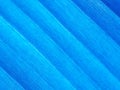 Abstract background of banana leaf pure cyan colours Royalty Free Stock Photo
