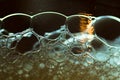 Abstract background of beer bubbles Royalty Free Stock Photo
