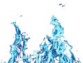 Abstract background. blue fire flames on a white background Royalty Free Stock Photo