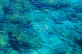 Abstract background with blue sea water. Wavy turquoise water texture on a sunny day Royalty Free Stock Photo