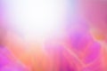 Abstract background with blurred flowers and sunbeams. Colorful bokeh Royalty Free Stock Photo