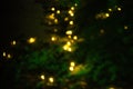 Abstract background with blurred golden lights. Glowing effect. Gold bokeh of light textured glitter background. Christmas party , Royalty Free Stock Photo