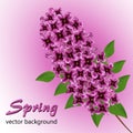 Abstract background with a branch of lilac