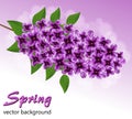 Abstract background with a branch of lilac