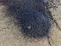 Abstract background with brown and gray asphalt and black spot of bitumen. Texture, frame, copy space and place for text Royalty Free Stock Photo