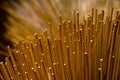 Abstract for background of Bulrushes Lepironia Articulata using as material for handicraft products, basket, bag, Thale Noi,