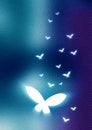 Abstract Background butterfly