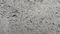 abstract background with cement mortar and gravel texture for wall Royalty Free Stock Photo