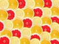 Abstract background with citrus-fruit of grapefruit, orange and Royalty Free Stock Photo