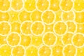 Abstract background with citrus-fruit of lemon slices. Close-up. Studio photography Royalty Free Stock Photo