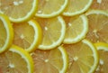 Abstract background with citrus fruit of lemon slices. Studio photography Royalty Free Stock Photo