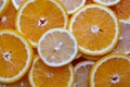 Abstract background with citrus fruit of orange and lemon slices. Studio photography Royalty Free Stock Photo