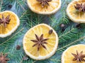 Christmas background with citrus fruit of orange slices and star anise on the spruce branches. Royalty Free Stock Photo