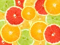 Abstract background of citrus slices Royalty Free Stock Photo