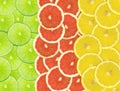 Abstract background of citrus slices