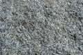 Closeup of dark grey granite texture.