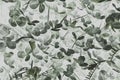 Abstract background with clover foliage