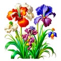 Abstract background with colorful decorative irises flowers