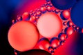 Abstract background with colorful gradient colors. Oil drops in water abstract psychedelic pattern image. Blue red colored Royalty Free Stock Photo