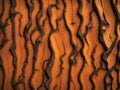 abstract background with colorful wooden texture, bark tree texture Royalty Free Stock Photo