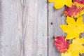 Abstract background of colourful autumn leaves Royalty Free Stock Photo