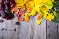 Abstract background of colourful autumn leaves Royalty Free Stock Photo