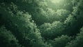 Dark Green Abstract Background of Overlapping Leaf Shapes with Sunlight Filtering Through Keywords: abstract Royalty Free Stock Photo