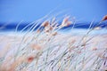 Abstract background concept day out beach ocean sea