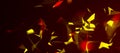 Abstract background with connecting dots and lines. Network connection structure. Plexus effect. 3d Widescreen. Royalty Free Stock Photo