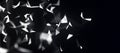 Abstract background with connecting dots and lines. Network connection structure. Plexus effect. 3d Widescreen. Royalty Free Stock Photo