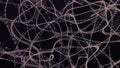 Abstract background with connecting dots and lines. Neural connections. Network connection structure. Weave effect. 3D Abstract Royalty Free Stock Photo