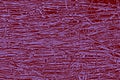 Abstract background consists of intertwined lines in crimson and blue colors.