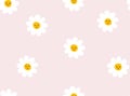 Abstract background with cute daisies. Chamomile floral seamless pattern Vector illustration Royalty Free Stock Photo